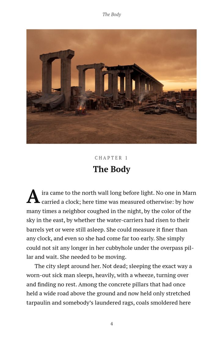 A page of the novel, where every chapter opens on its own image